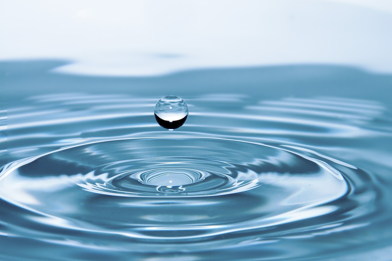 Cata agua | Formacion y enologia