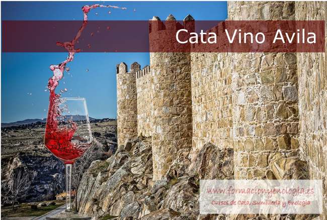 cata vino avila | Formación y Enología